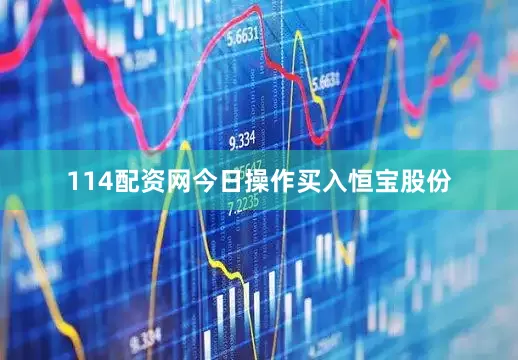 114配资网今日操作买入恒宝股份