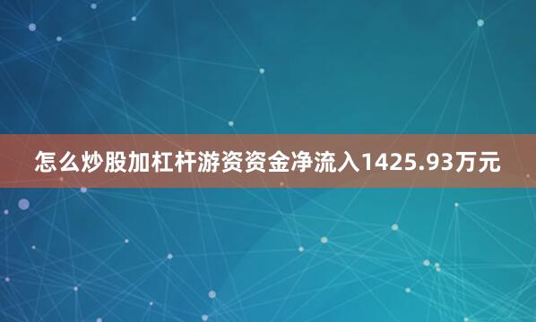 怎么炒股加杠杆游资资金净流入1425.93万元