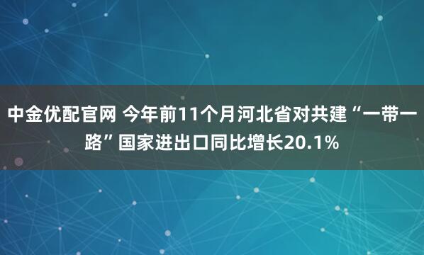 中金优配官网 今年前11个月河北省对共建“一带一路”国家进出口同比增长20.1%
