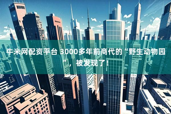 牛米网配资平台 3000多年前商代的“野生动物园”，被发现了！