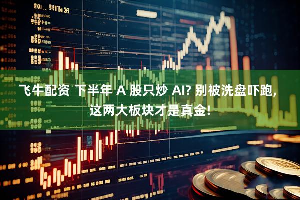 飞牛配资 下半年 A 股只炒 AI? 别被洗盘吓跑, 这两大板块才是真金!